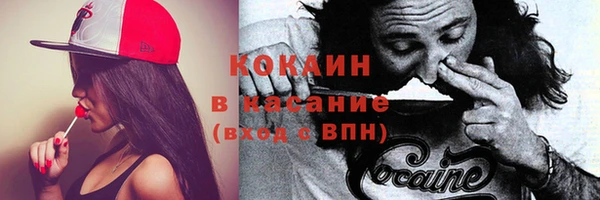 спайс Михайлов